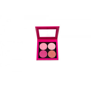 Small Hot Pink Palette